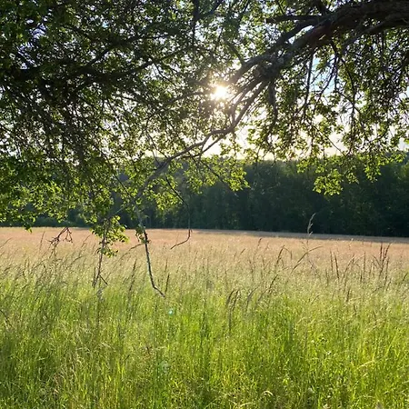 公寓 Burkhart Bundenthal