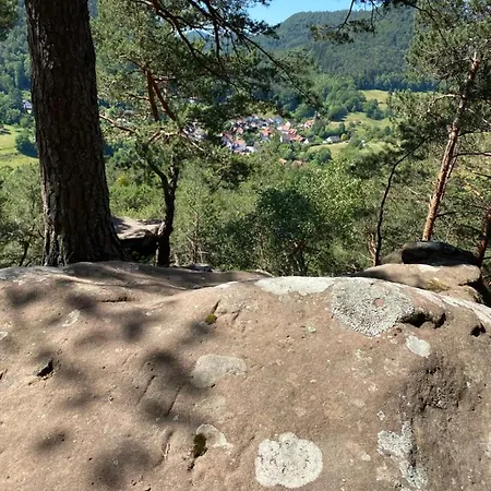 Burkhart 公寓 Bundenthal