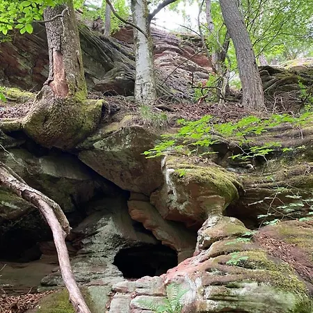 公寓 Burkhart Bundenthal