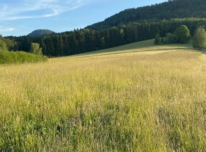 Apartmán Burkhart *