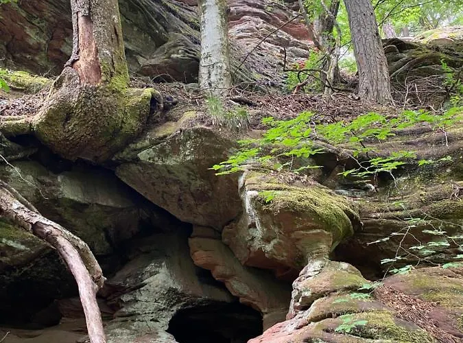 Apartmán Burkhart Bundenthal