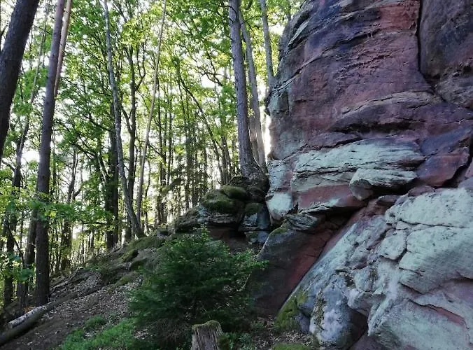 Apartmán Burkhart Bundenthal